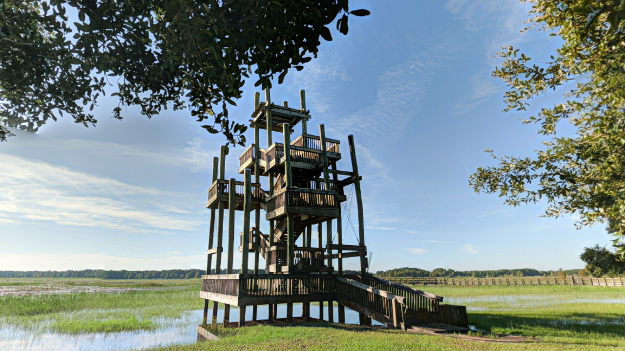 Lookout tower at Crews Lake Wilderness Park Pasco County FL