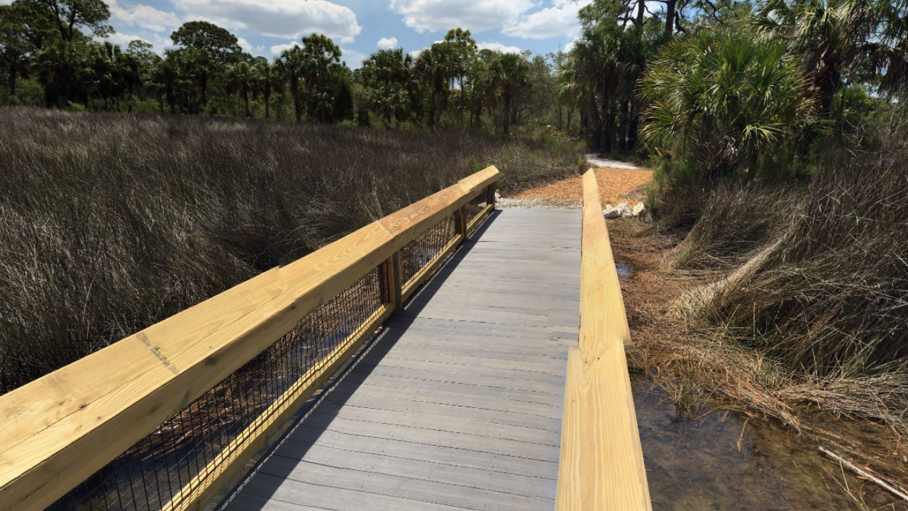 Walkway at Werner-Boyce Salt Springs State Park Pasco County FL
