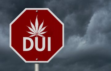 Medical Marijuana DUI in FL Tampa DUI Lawyer Ben Stechschulte