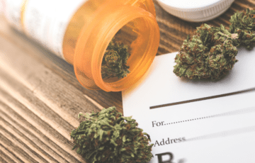 Medical marijuana and prescription bottle on table Stechschulte Nell