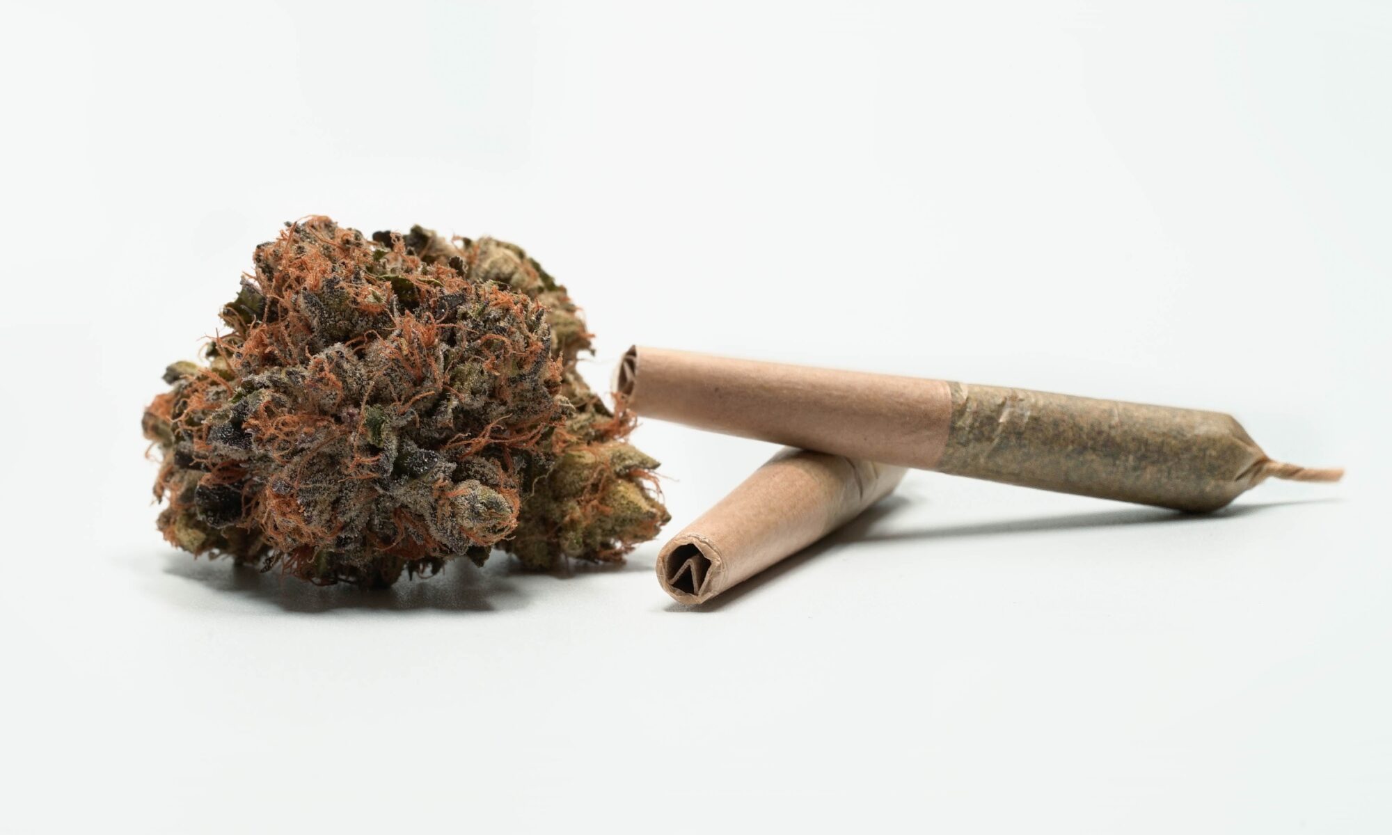 marijuana bud and joint