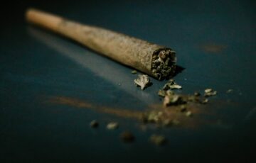 marijuana cigarette Stechschulte Nell Law