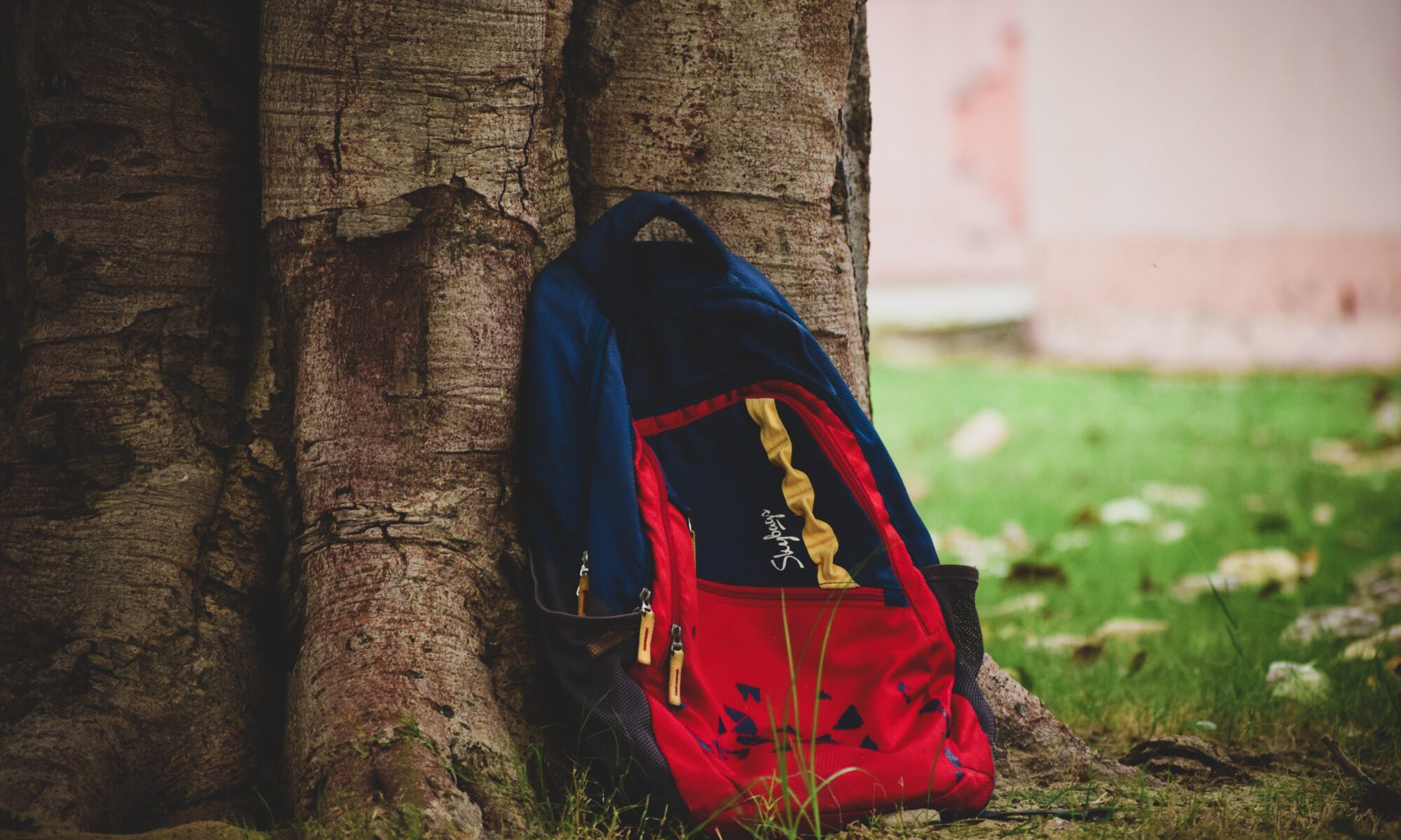 backpack leaning against a tree on grass