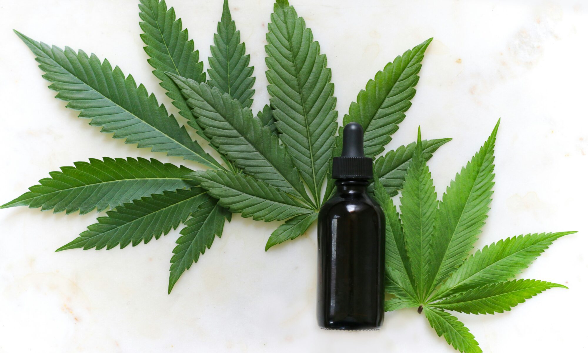 marijuana leaves with a dropper bottle