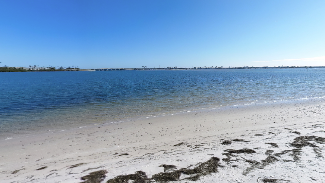 Beach at Honeymoon Island State Park Pinellas County FL
