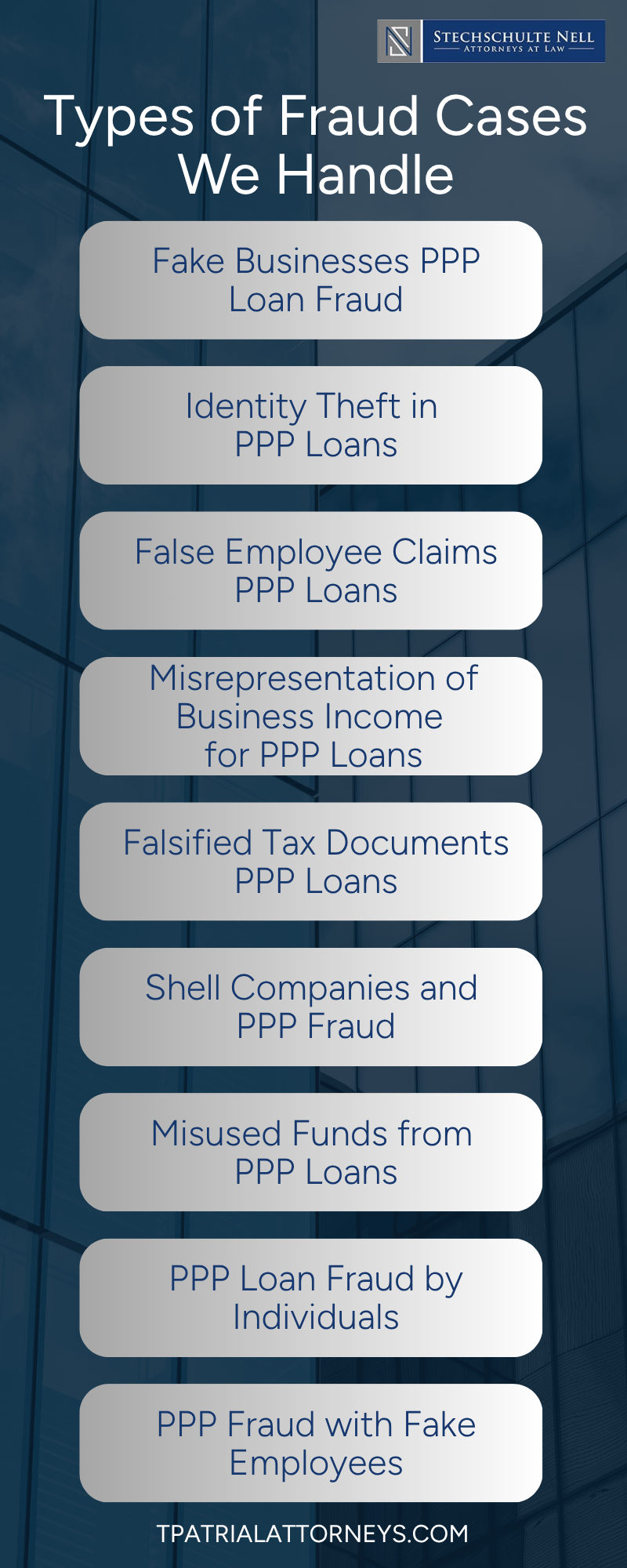 Types of Fraud Cases We Handle Infographic
