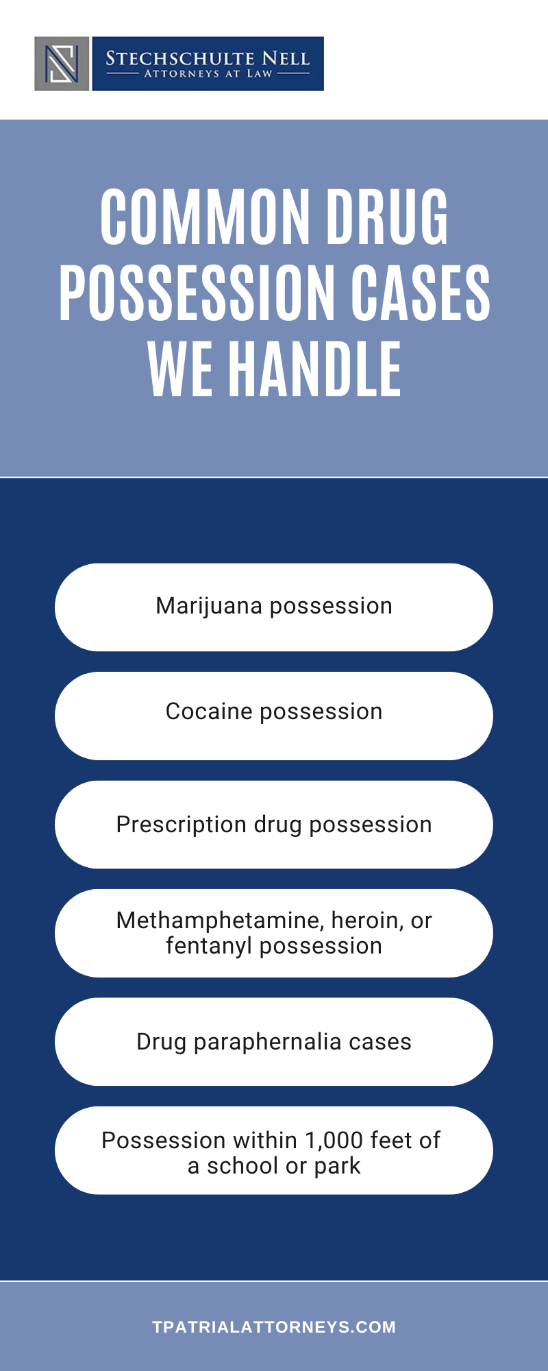 Common Drug Possession Cases We Handle Infographic