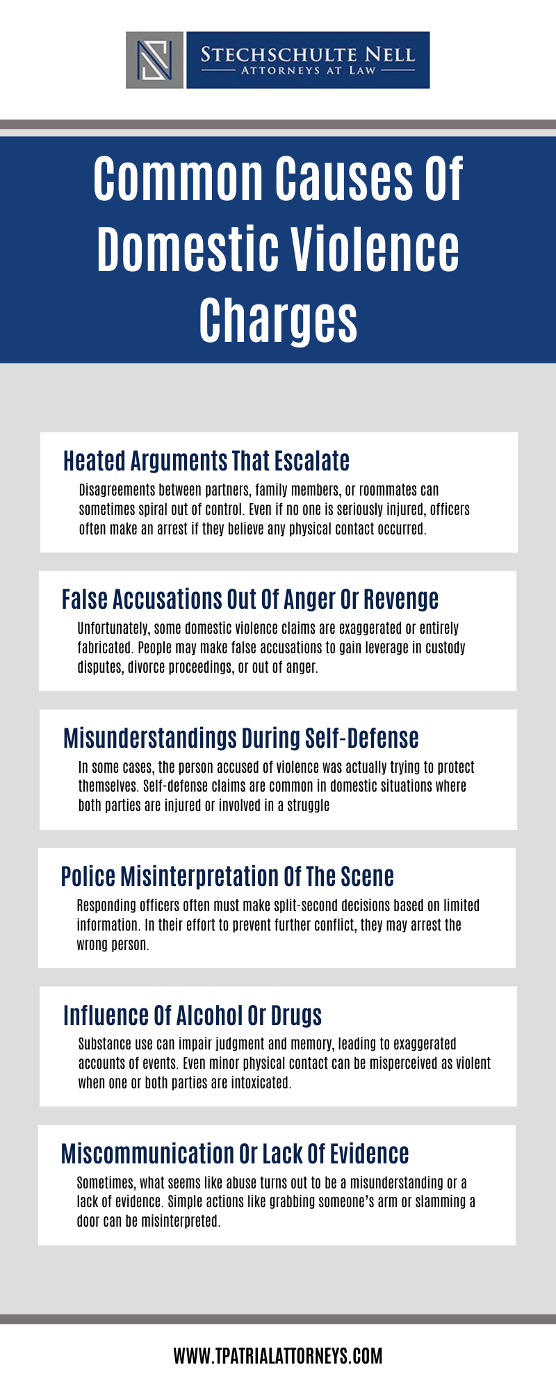 Common Causes Of Domestic Violence Charges Infographic