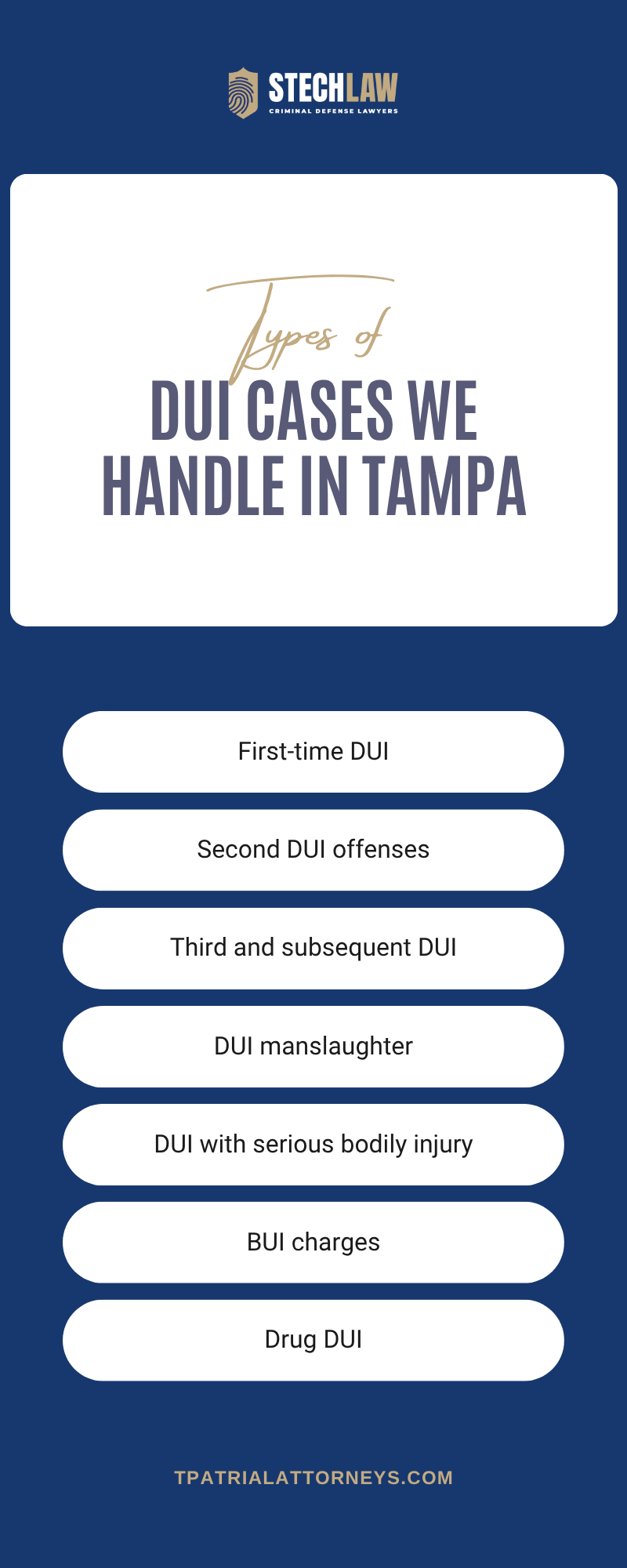 DUI Cases We Handle In Tampa Infographic
