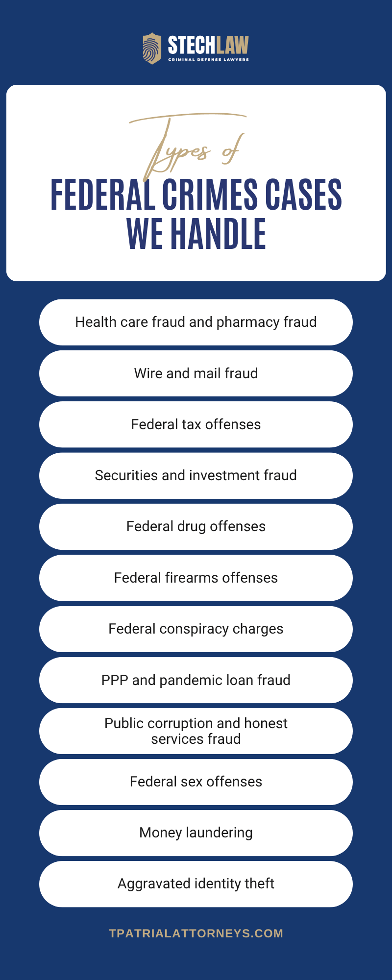 Federal Crimes Cases We Handle Infographic